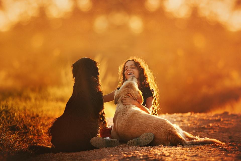 Vaikas ir šuo gali tapti draugais. Svarbu juos tinkamai supažindinti.